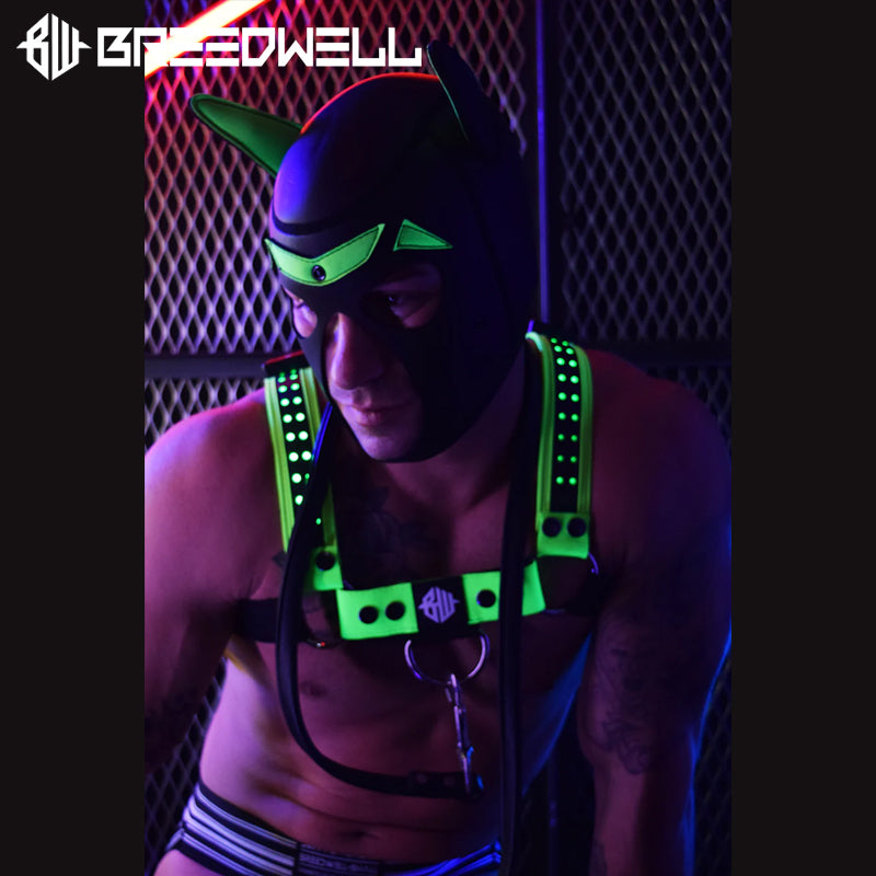 BREEDWELL-Neoprene POUNDTOWN GLOW Puppy Hood - Neon Green