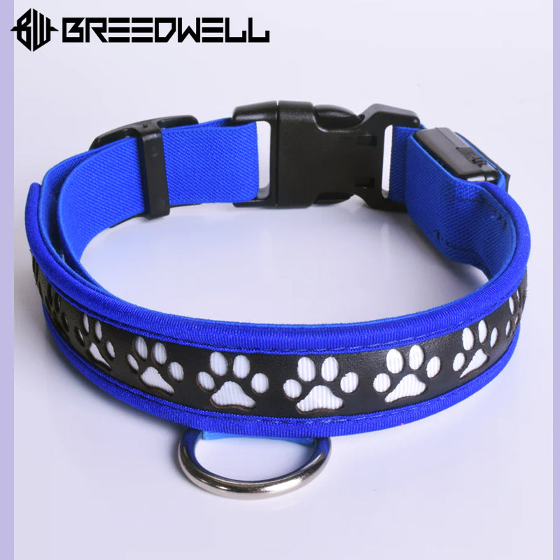 BREEDWELL-POUNDTOWN Puppy LED Collar Leather - Blue