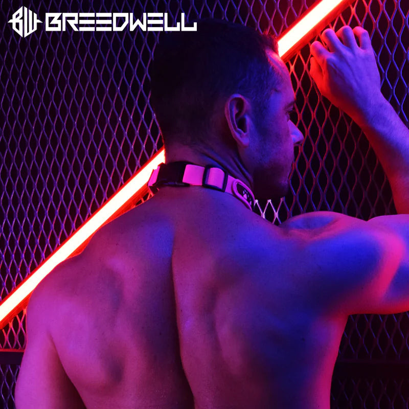 BREEDWELL-POUNDTOWN Puppy LED Collar Leather - Neon Pink