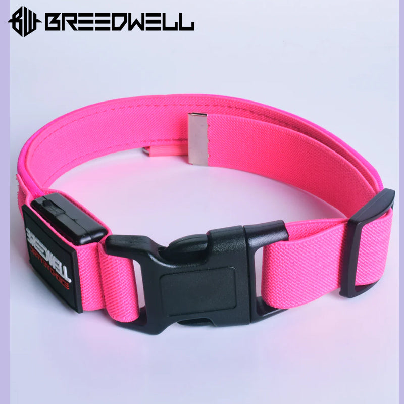 BREEDWELL-POUNDTOWN Puppy LED Collar Leather - Neon Pink