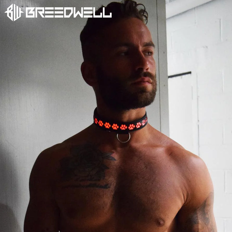 BREEDWELL-GLOW Puppy LED Collar Leather - Black