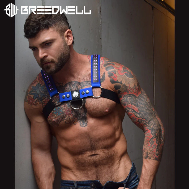 BREEDWELL - STARLIGHT BULLDOG Harness LEDs 20 Animations - Blue