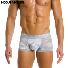 MODUS VIVENDI - Boxer Desierto - Gris