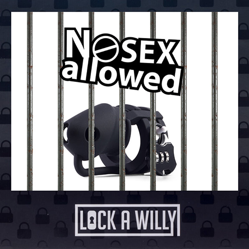 Lock a Willy - Chastity Set