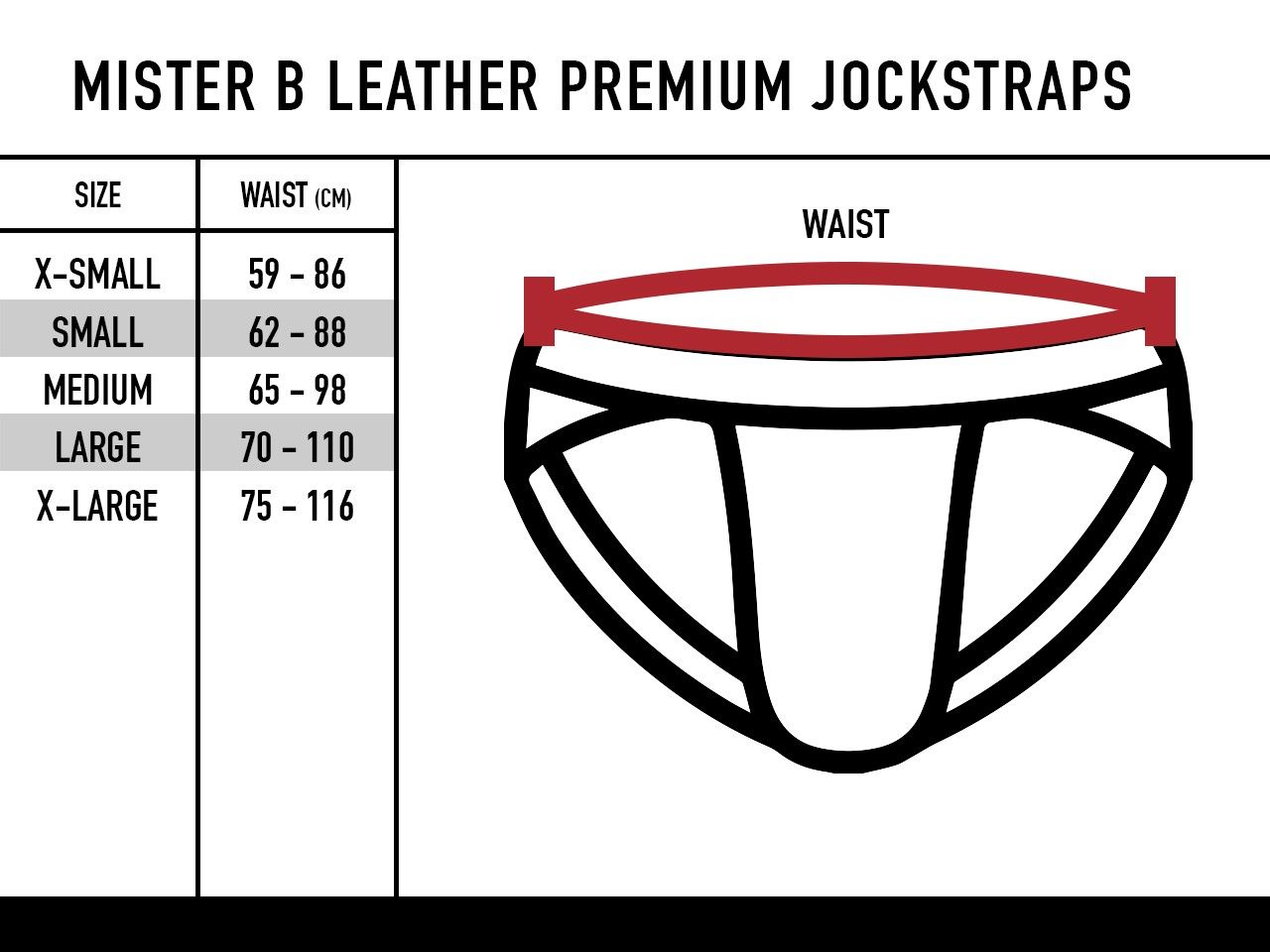 Mister B - Premium Jockstrap Leder Schwarz-Schwarz