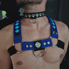 BREEDWELL-POUNDTOWN Puppy LED Collar Leather - Blue