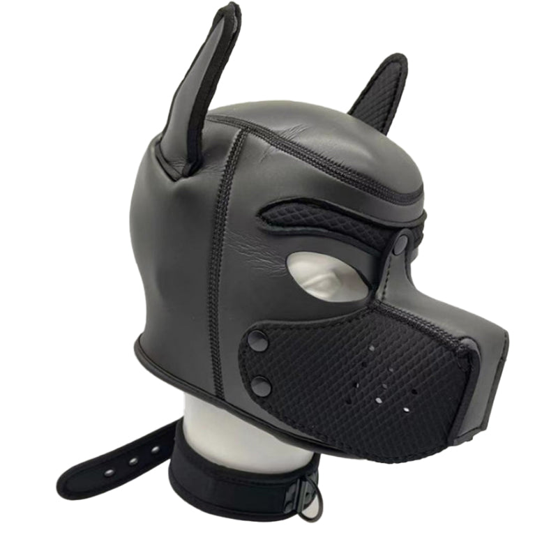 Neoprene Puppy Hood Set with Colar - Black