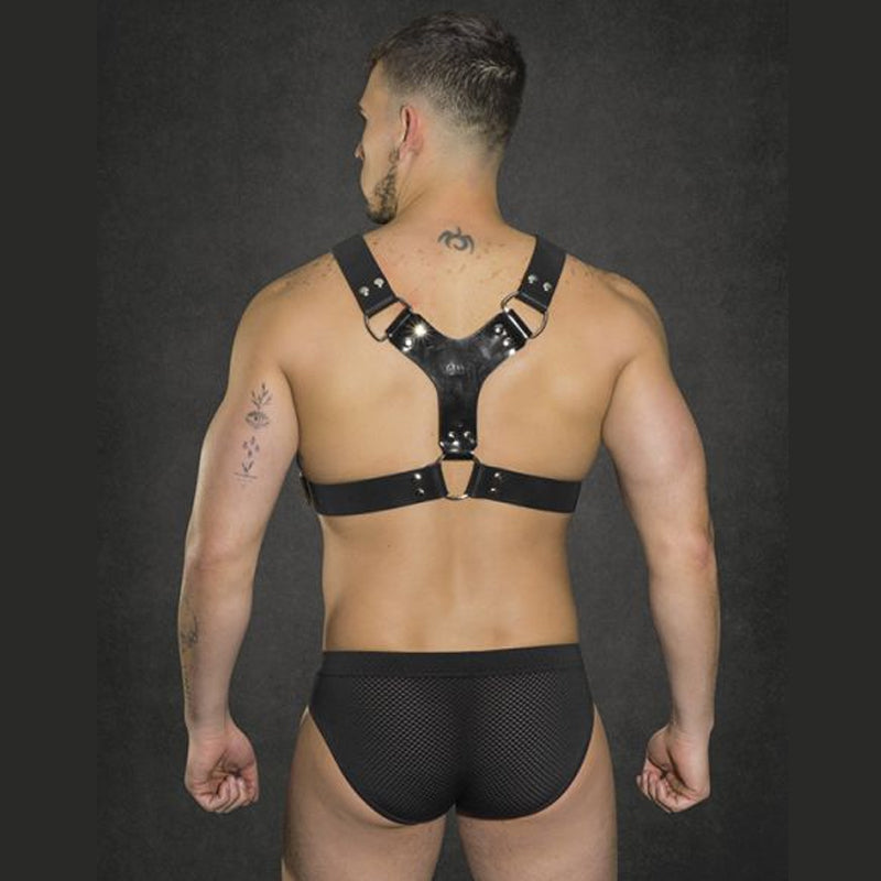 Dale Mas Kinky Dude Pitbull Harness Black