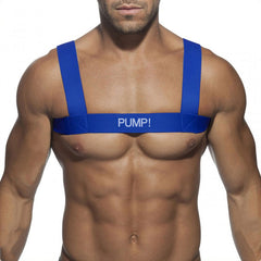 Club Harness Blue